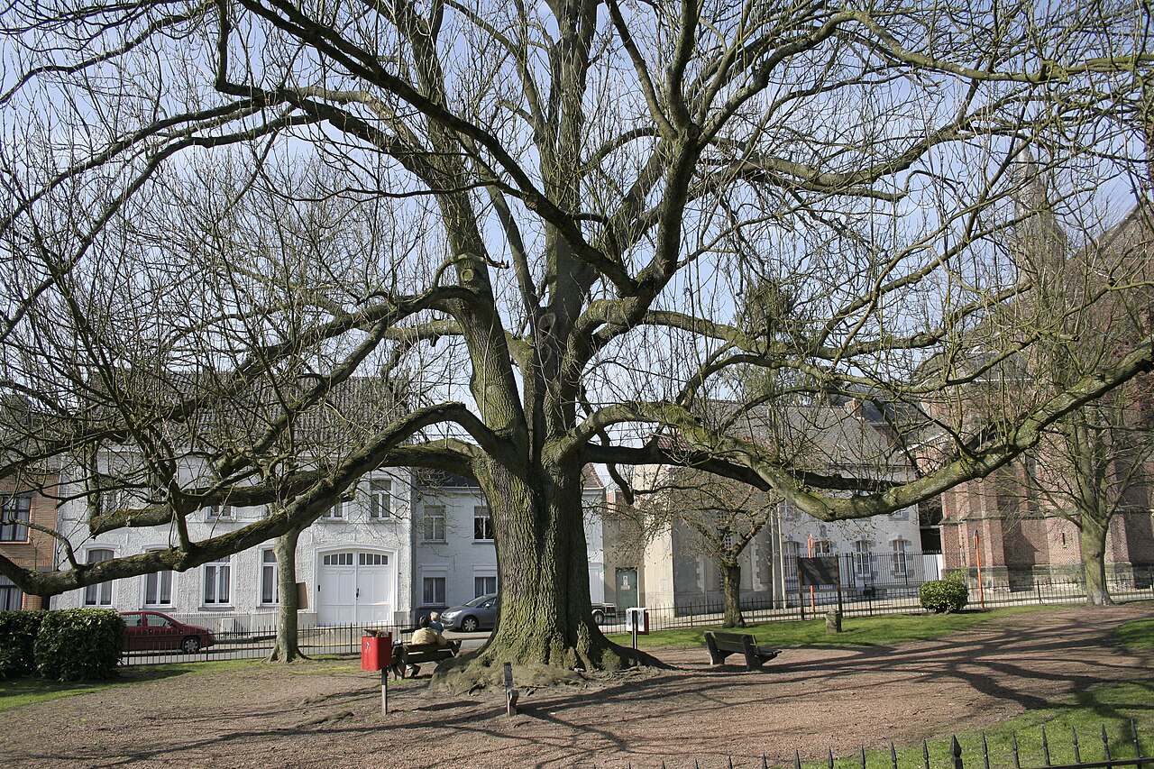 Beloeil