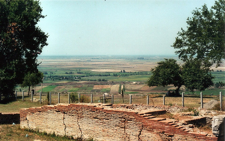 Myzeqe