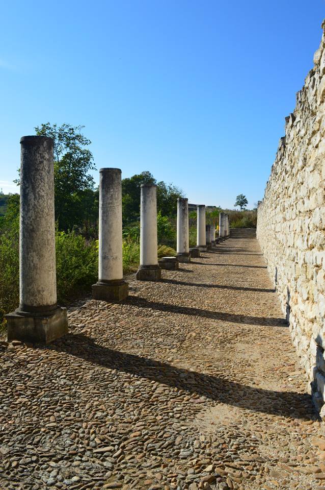 Storgosia