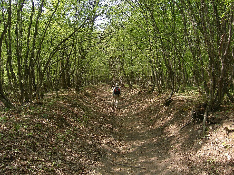 Parque Natural Meseta de Shumen