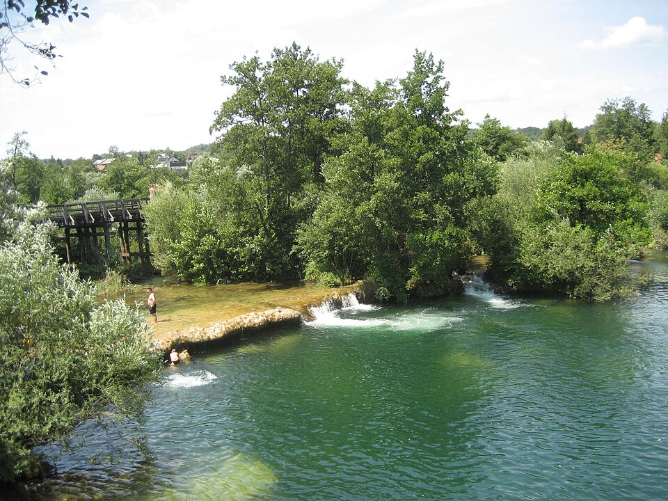 Mrežnica