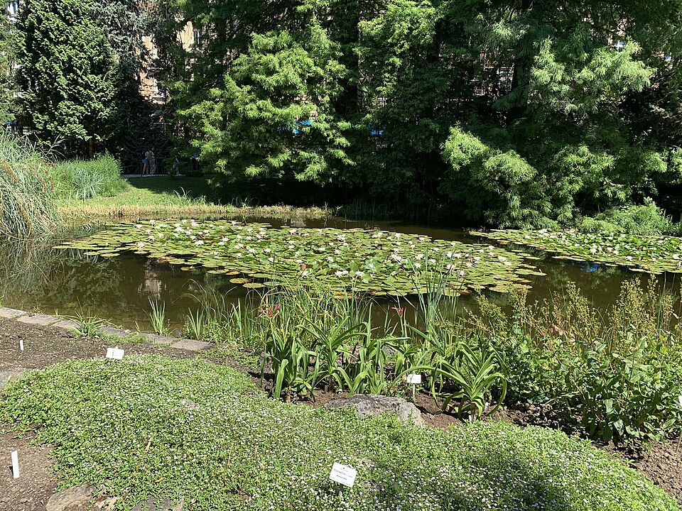 Jardín Botánico de Zagreb