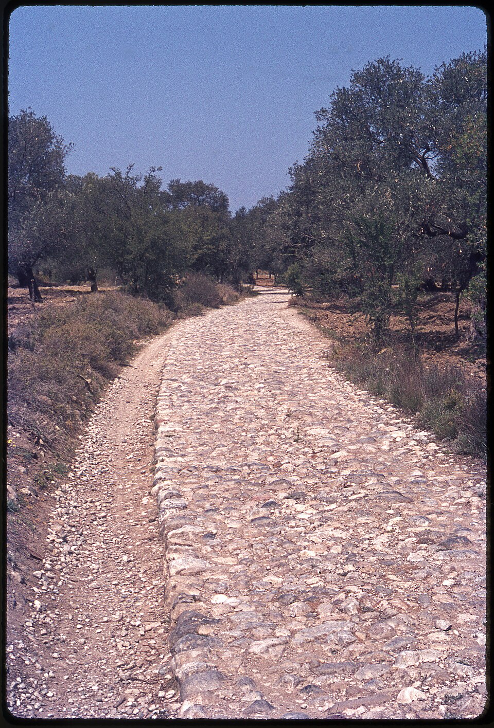 Thermeia