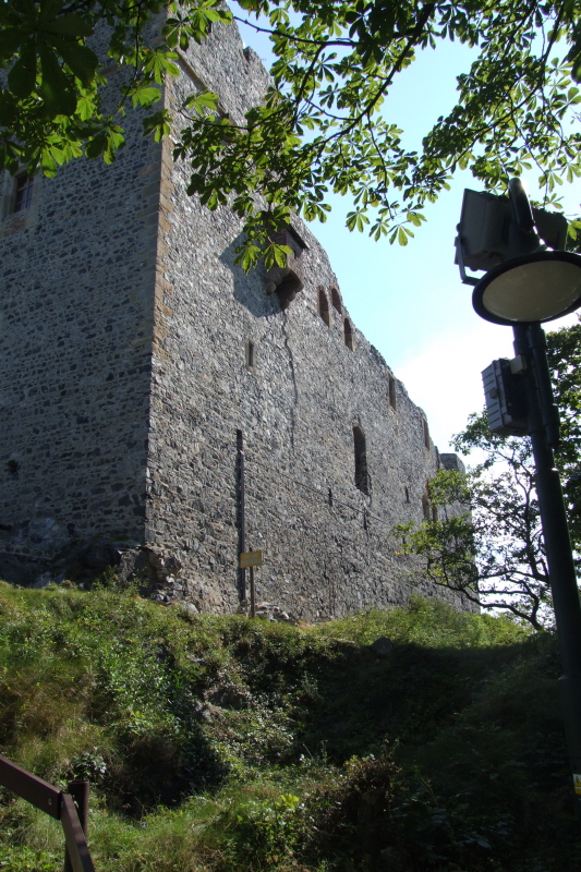 Castillo de Radyně
