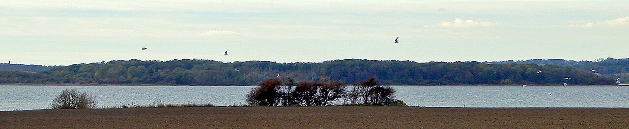 Vorsø