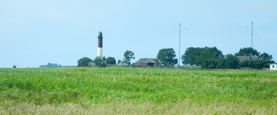 Hülgelaid