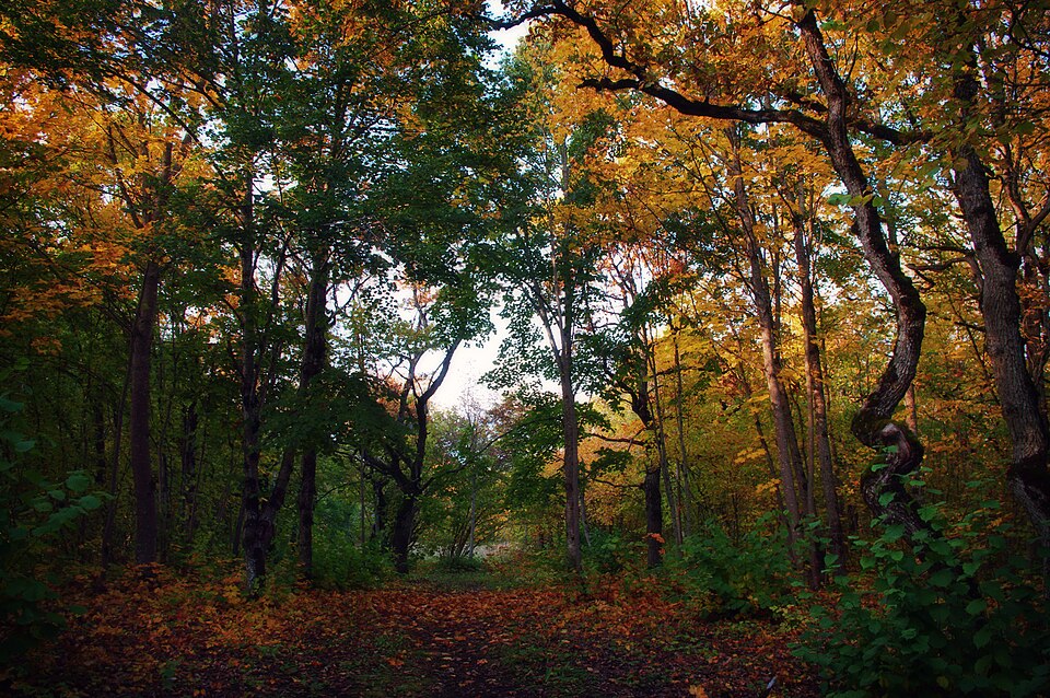 Área de conservación del bosque de robles de Rakvere
