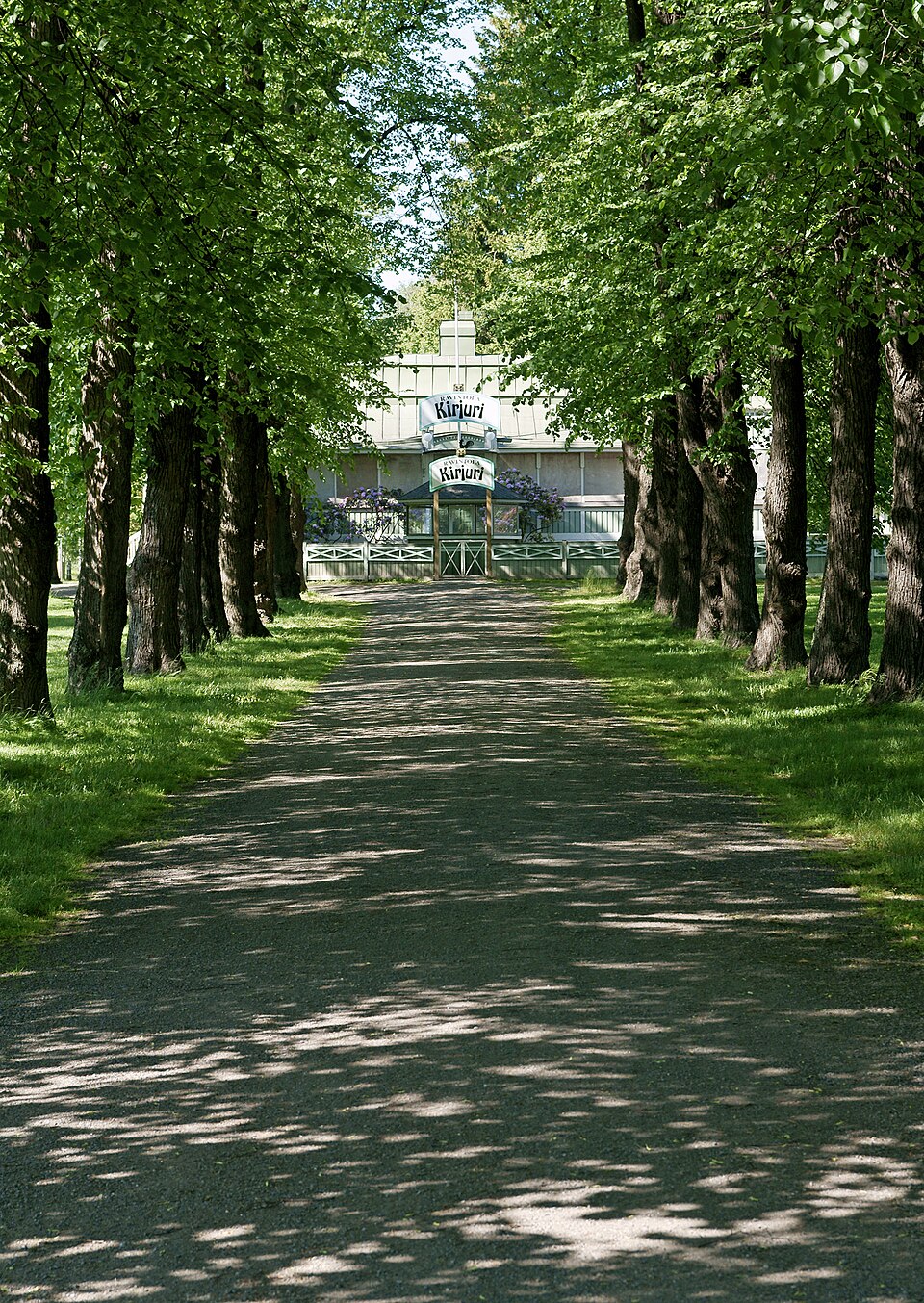 Kirjurinluoto