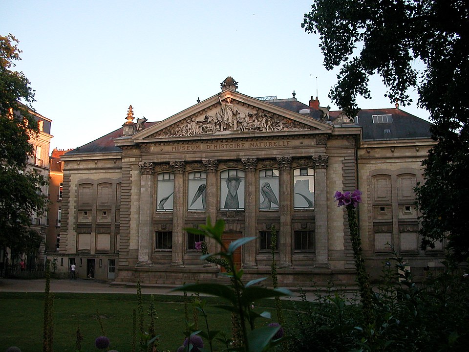 Museo de Historia Natural de Nantes