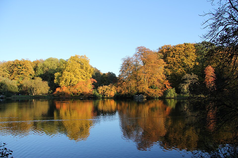 Jardín botánico Rombergpark