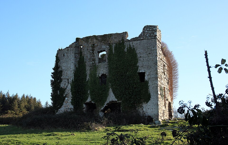 Castillo Puck