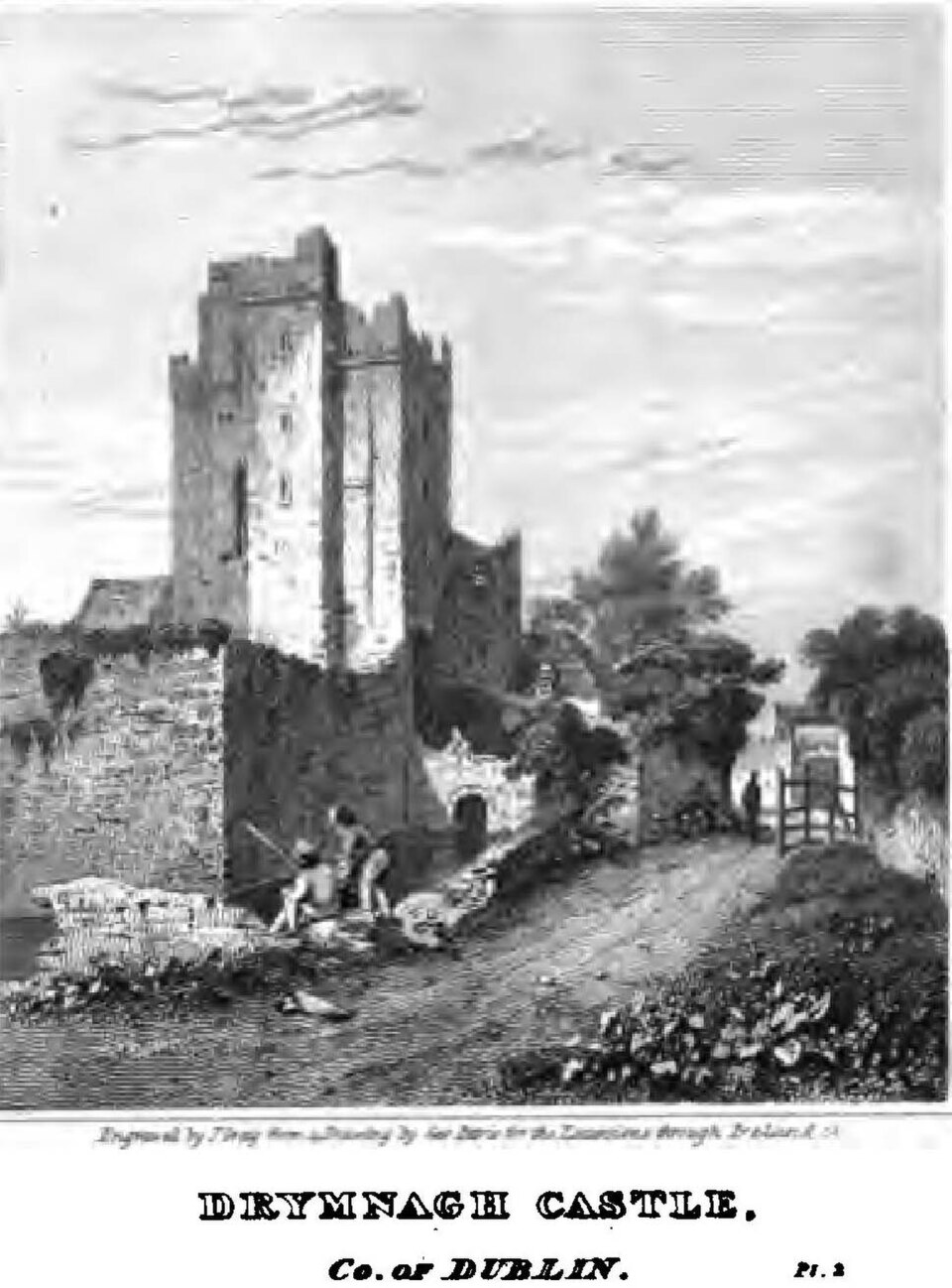 Castillo de Drimnagh