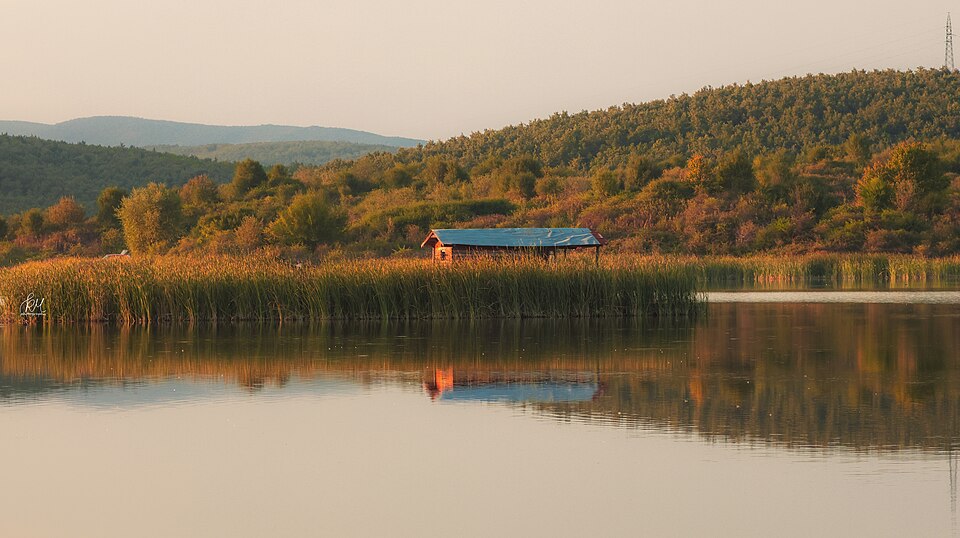 Lago Vasileva