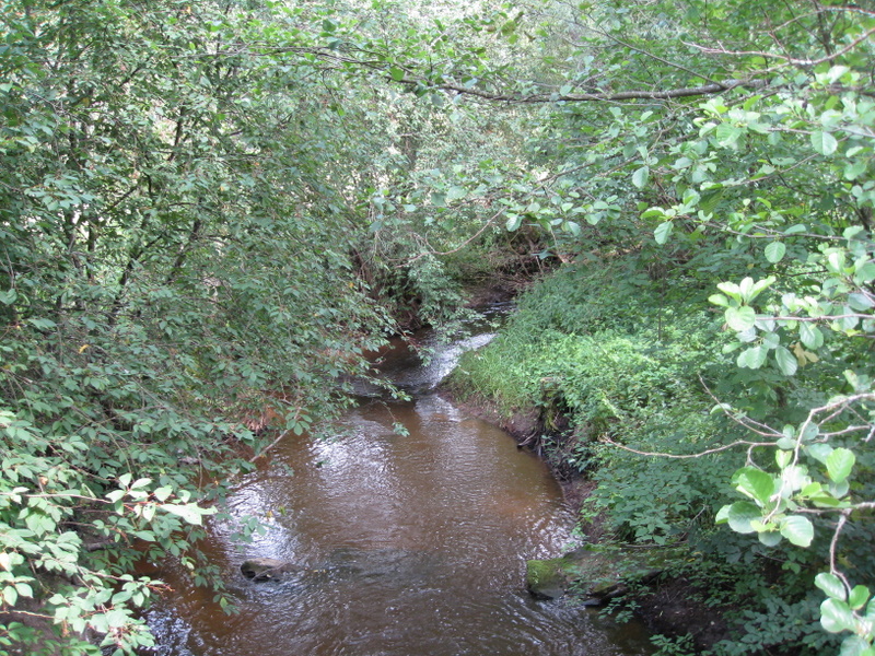 Zembrė