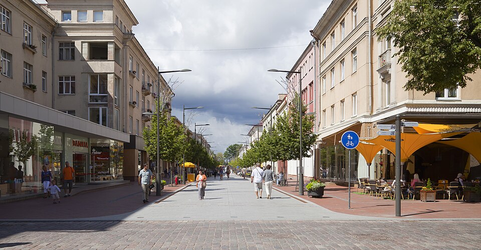 Condado de Šiauliai