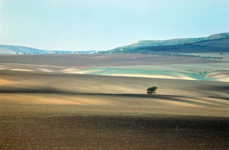 Stepa Bălți