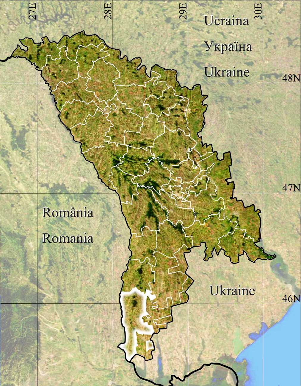 Cahul (vino)