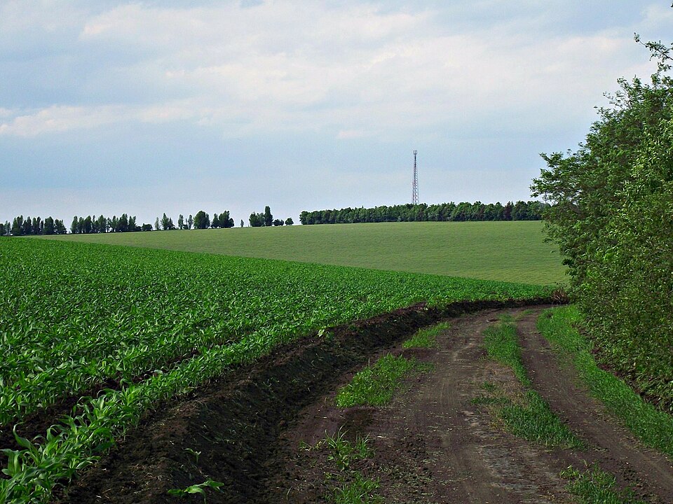 Berezlogi