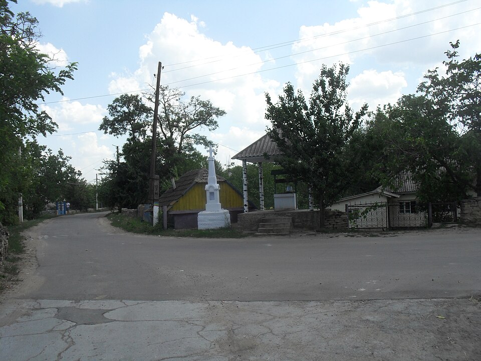 Cosăuți