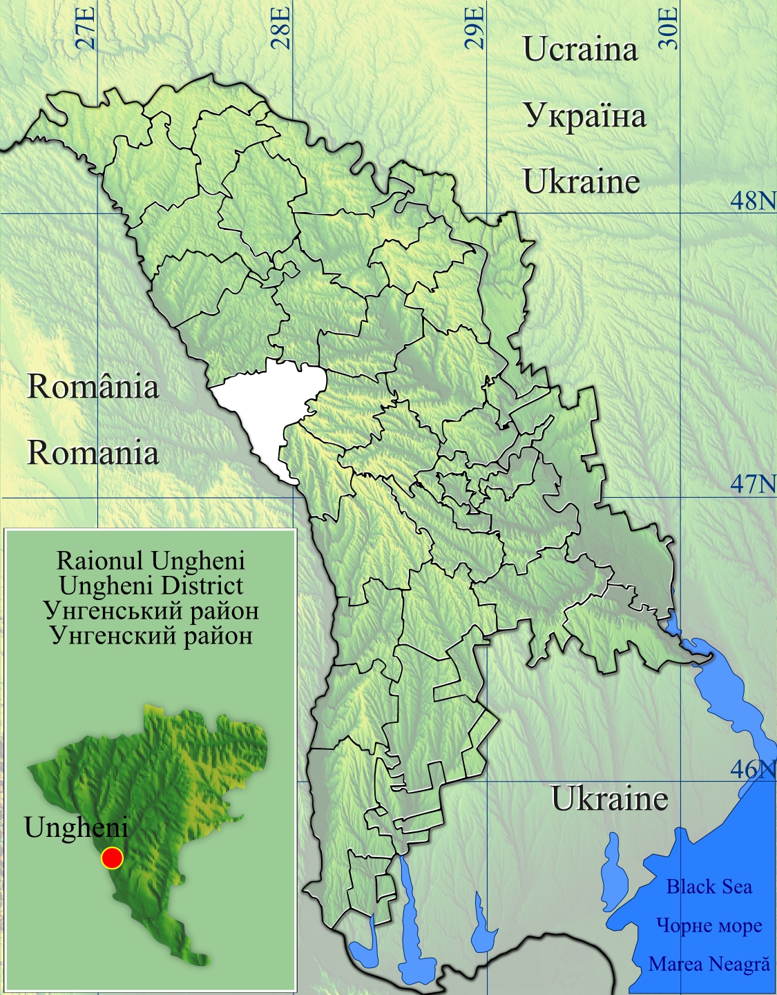 Unțești