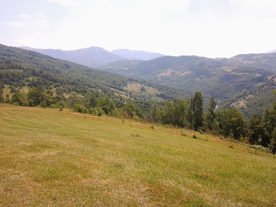 Jabučno