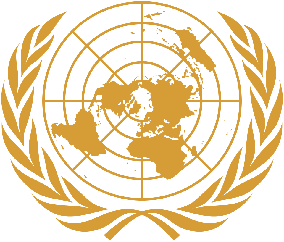 Misión de Observadores de las Naciones Unidas en Prevlaka