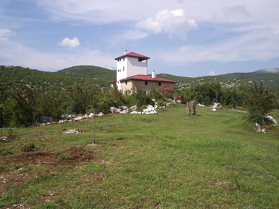 Dragovoljići