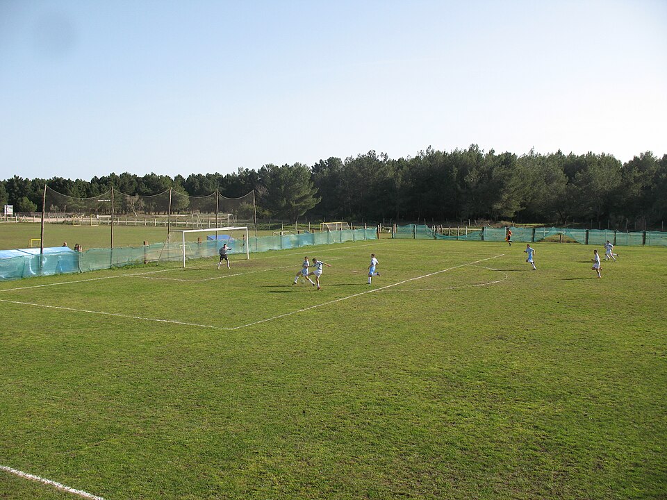 Estadio Safari