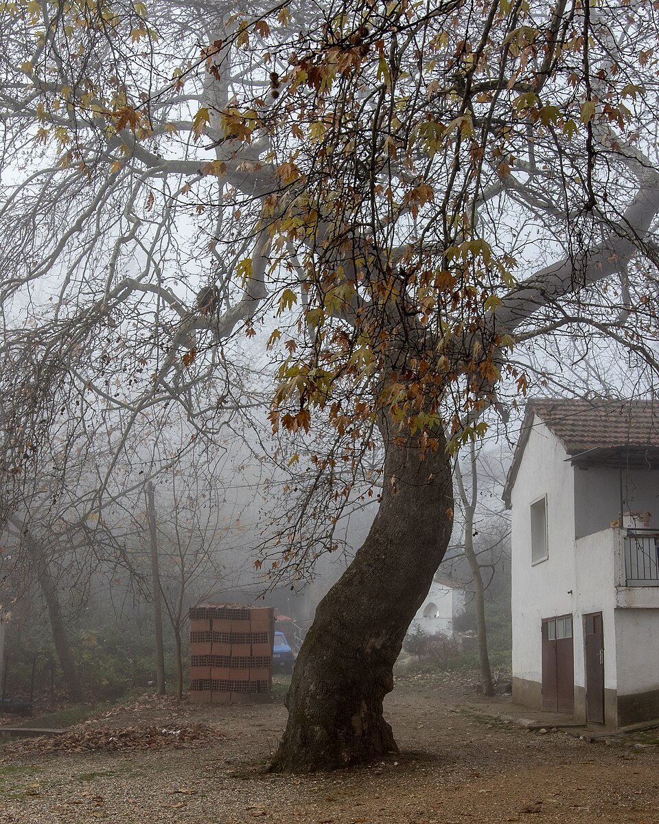 Gorno Čičevo