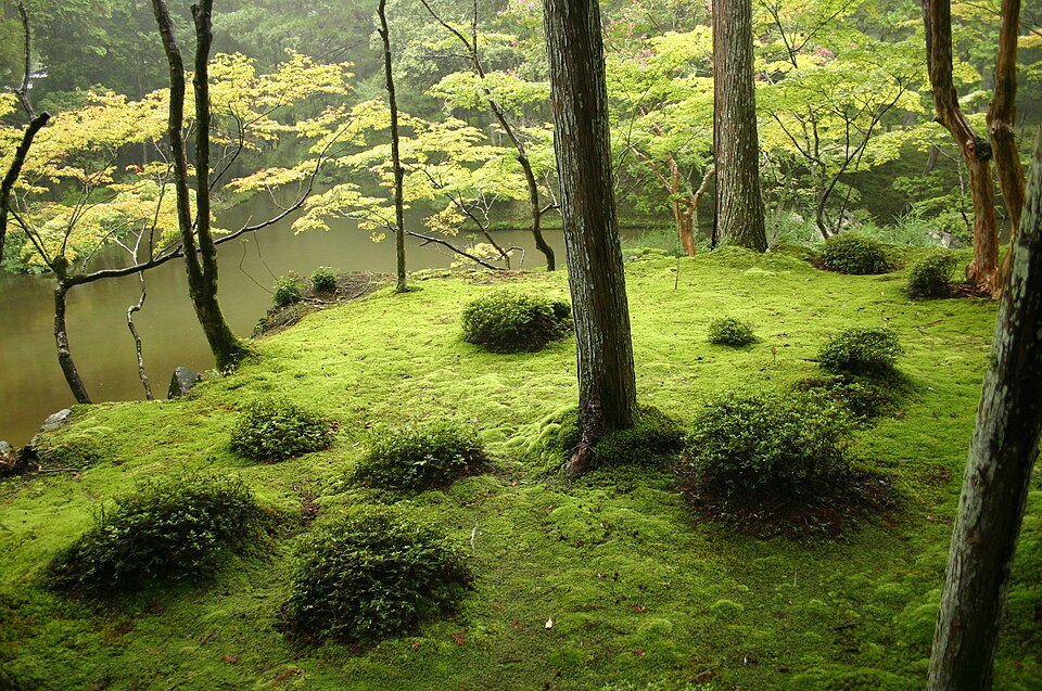 Jardín japonés