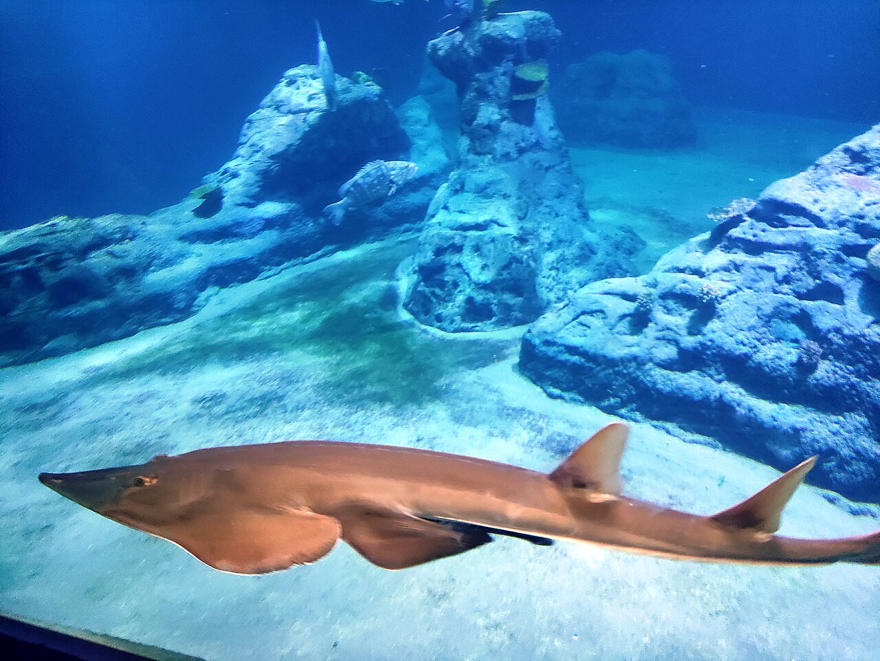 Zoológico y Afrykarium
