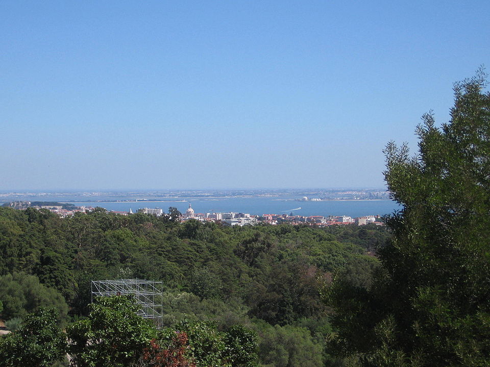 Parque Forestal de Monsanto