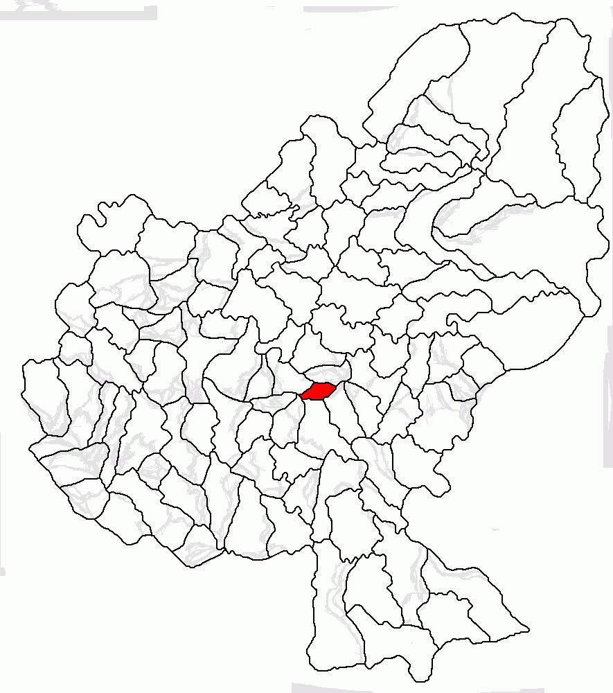Corunca