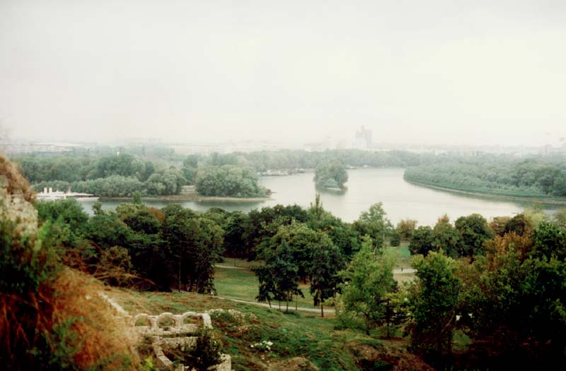 Confluencia del Danubio y el Sava
