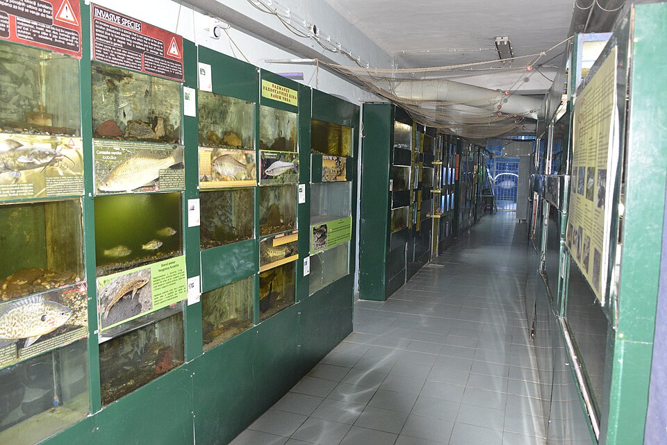 Centro Acuario de Kragujevac