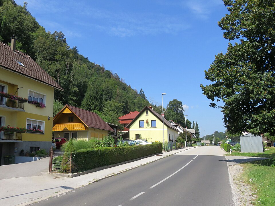 Gorenja Sava