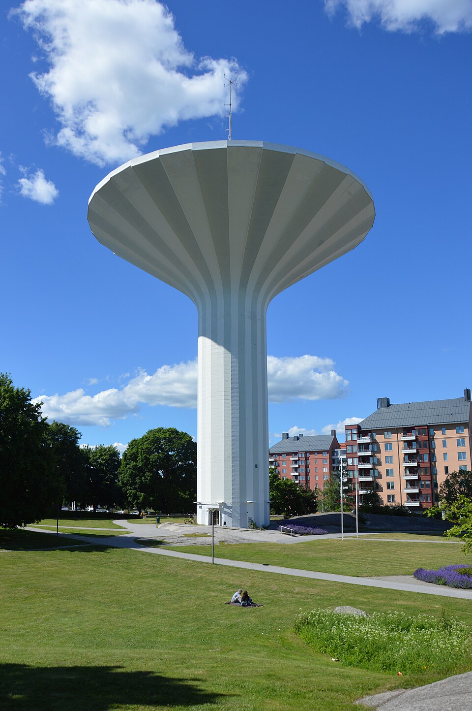 Svampen