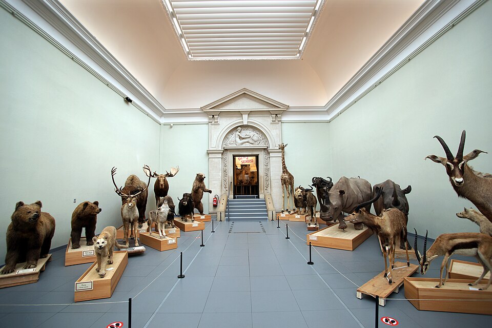 Museo Cantonal de Zoología