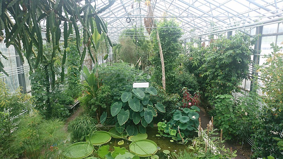 Jardín Botánico de San Galo