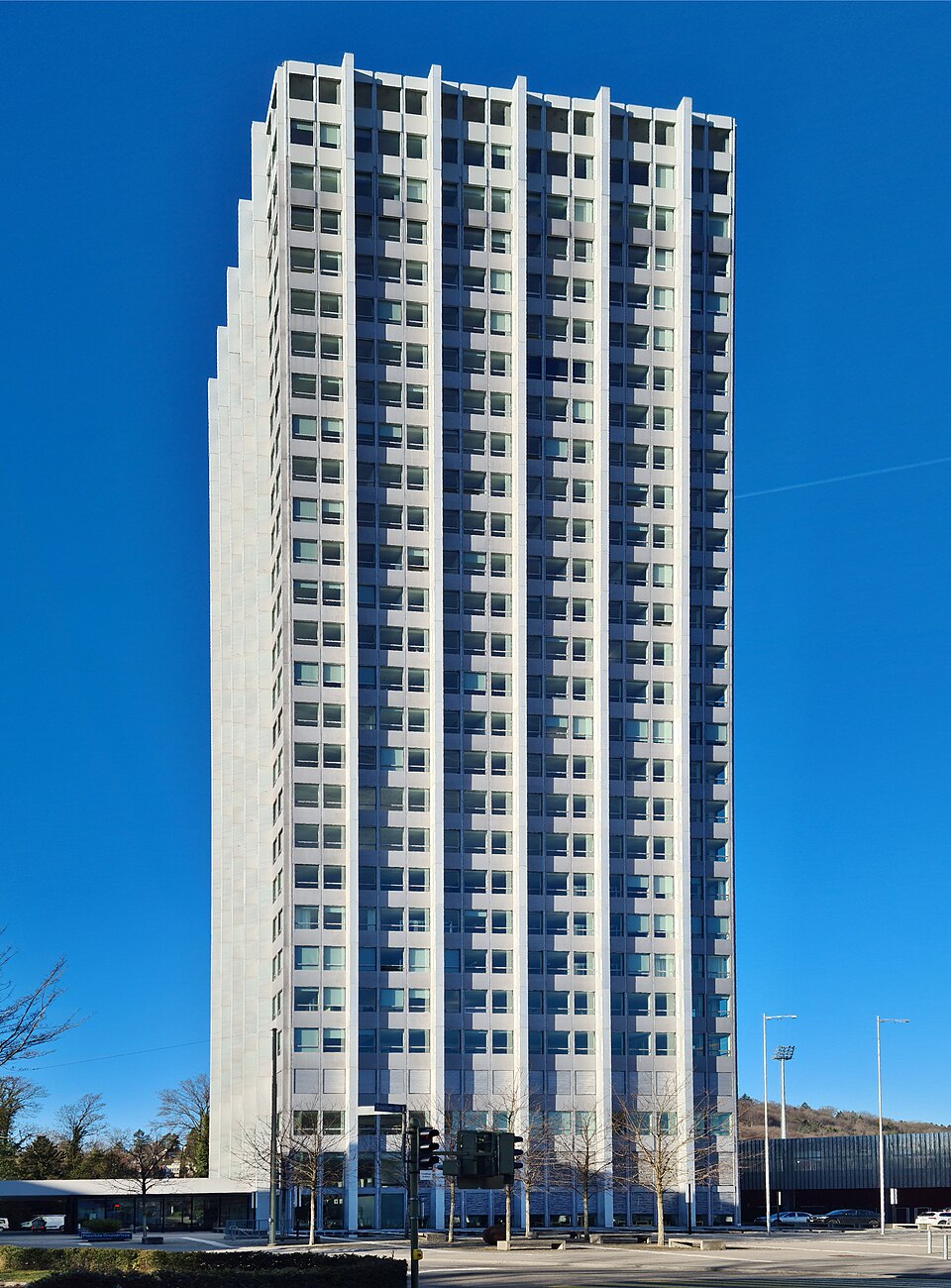 Torre Sulzer