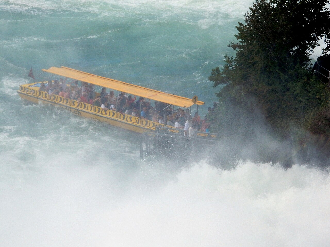 Cataratas del Rin (excursión de un día)
